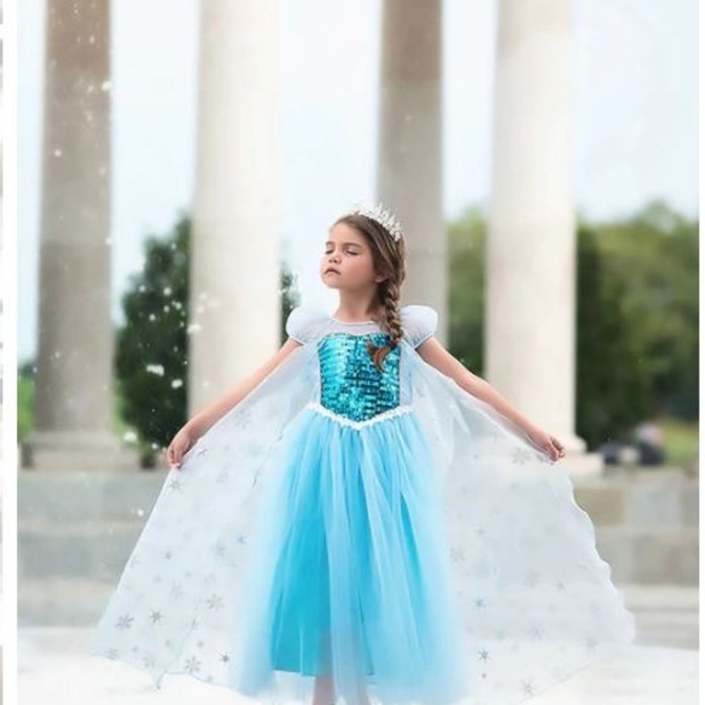 Trish Scully Ice Queen/Elsa Dress/Halloween Costume